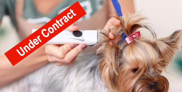 pet grooming business for sale bayside